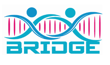 Bridge logo